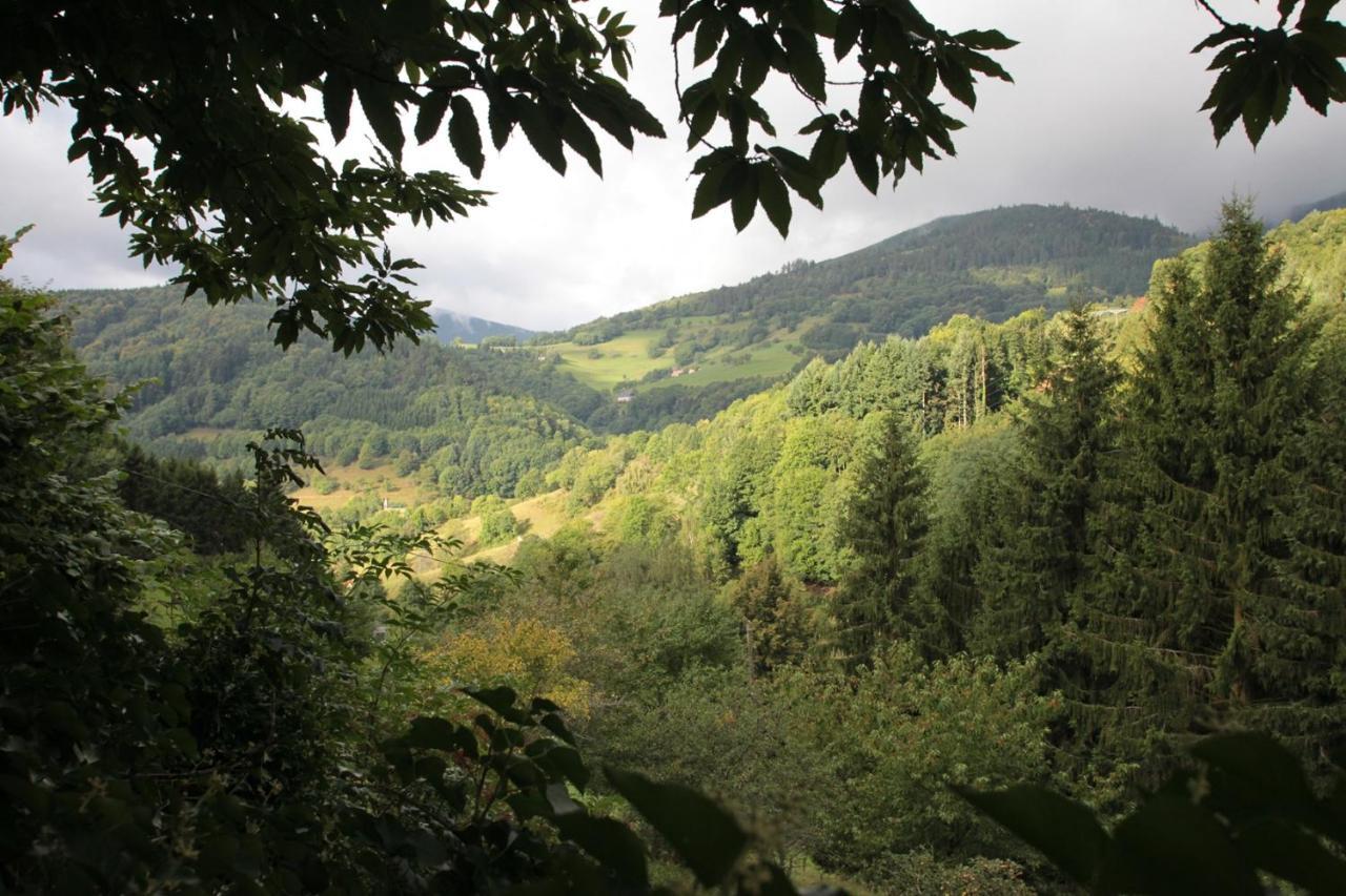 La Haute Grange Gites De Charme En Alsace Fréland Exteriér fotografie